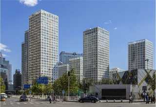 济宁苗栽蔬菜种植步骤