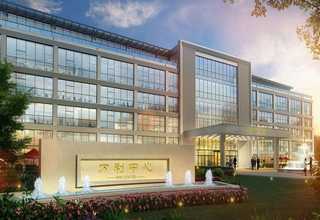 郑州新品种果树苗售价